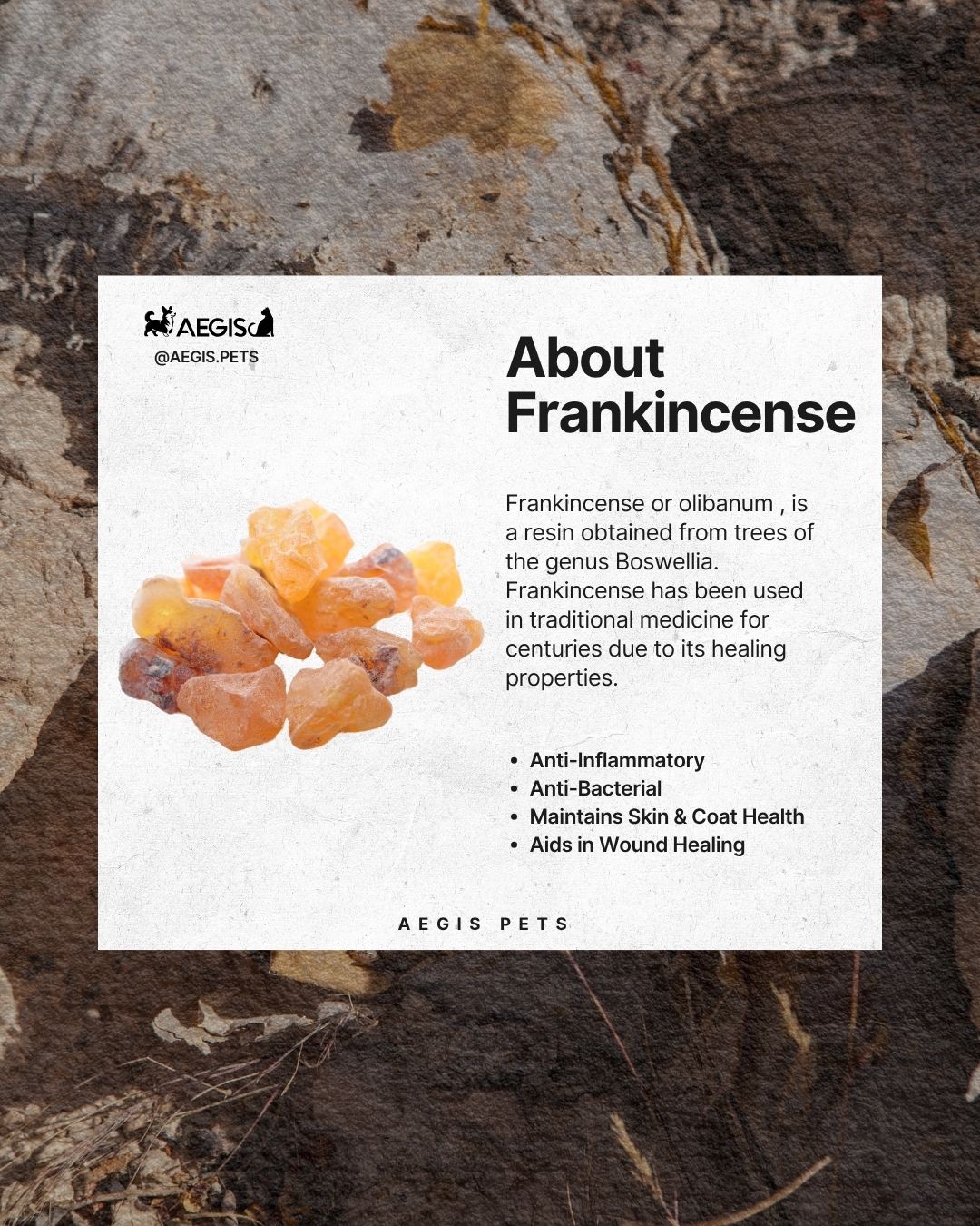 Soothing Pet Shampoo - Image 4