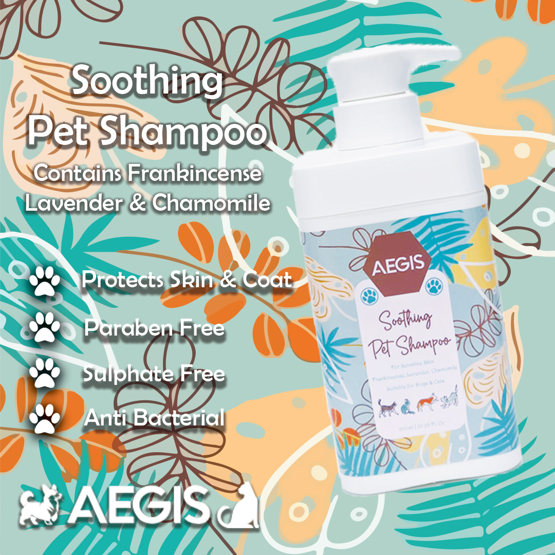 Soothing Pet Shampoo - Image 2
