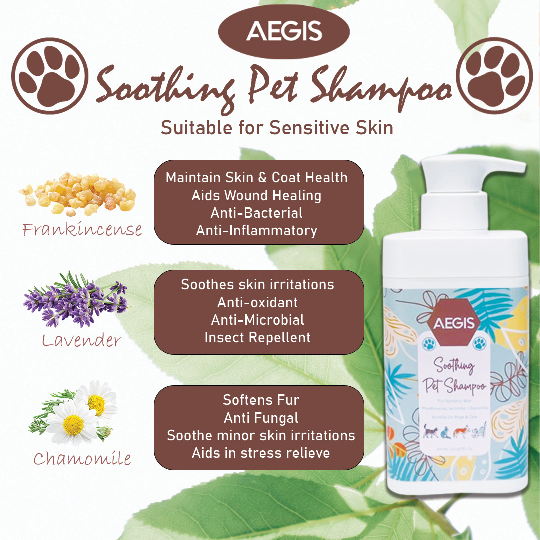 Soothing Pet Shampoo - Image 3